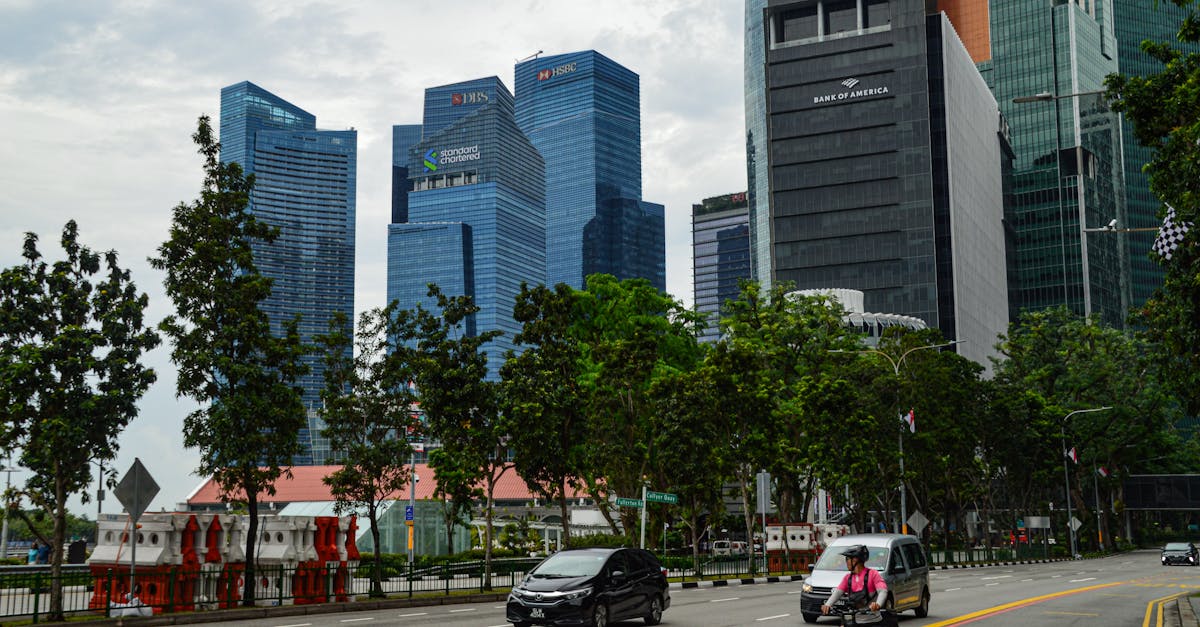 Insightreport News contact